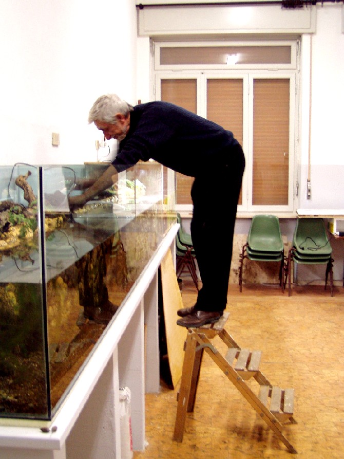 I Terracquari del Centro di Entomologia - Piombino (LI)